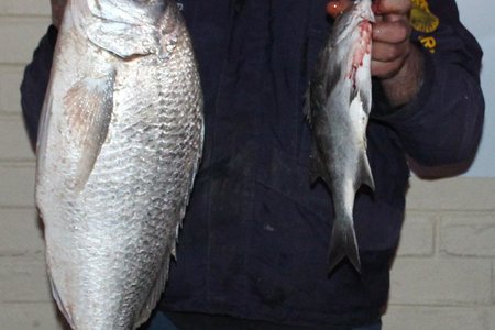 Anthony Melly, â€˜n besoeker,  spog met sy vangstes